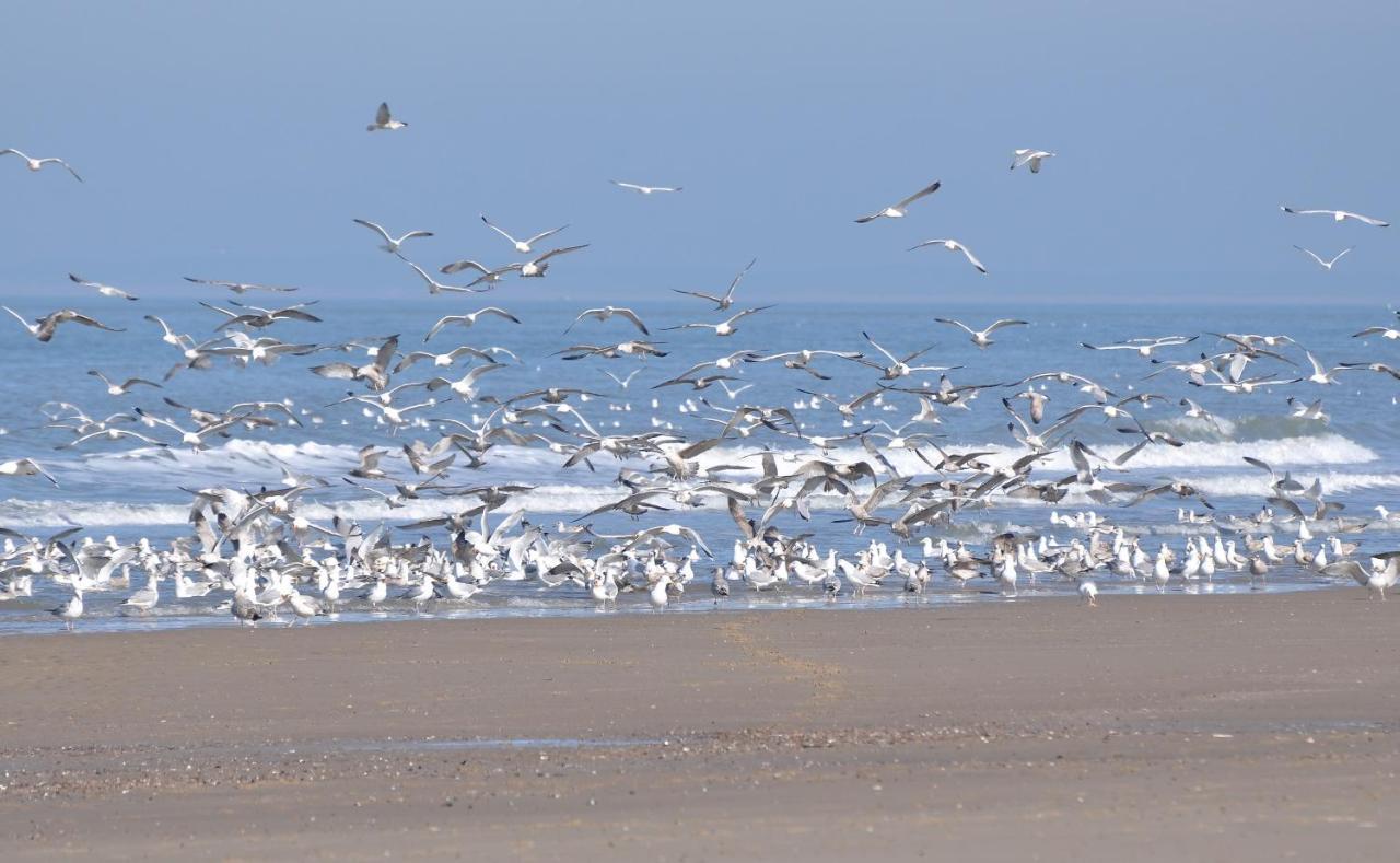 אוסטקאפלה Vakantiehuis Seaside, Dunoweg 18 מראה חיצוני תמונה
